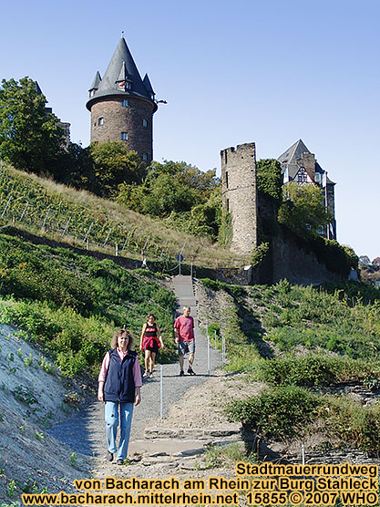 Stadtmauerrundweg-Fhrung von Bacharach am Rhein zur Burg Stahleck.