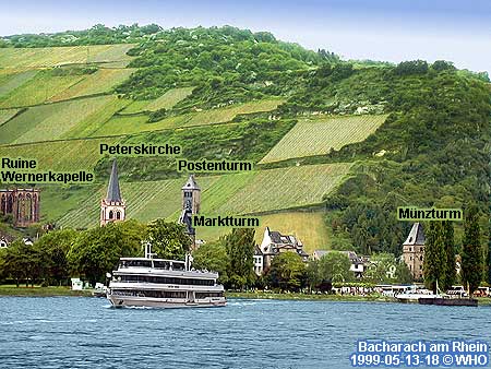 18-bacharach-450_01,  Foto: � WHO, 13. Mai 1999
