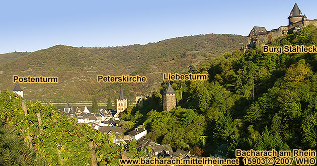 Weinberge oberhalb vom Steeger Tal bei Bacharach am Rhein