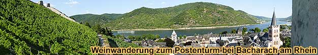 Mittelrhein-Weinwanderung mit Weinproben im Weinberg
